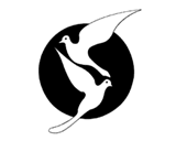 Thumbnail Image of Dove Logo Comp 3